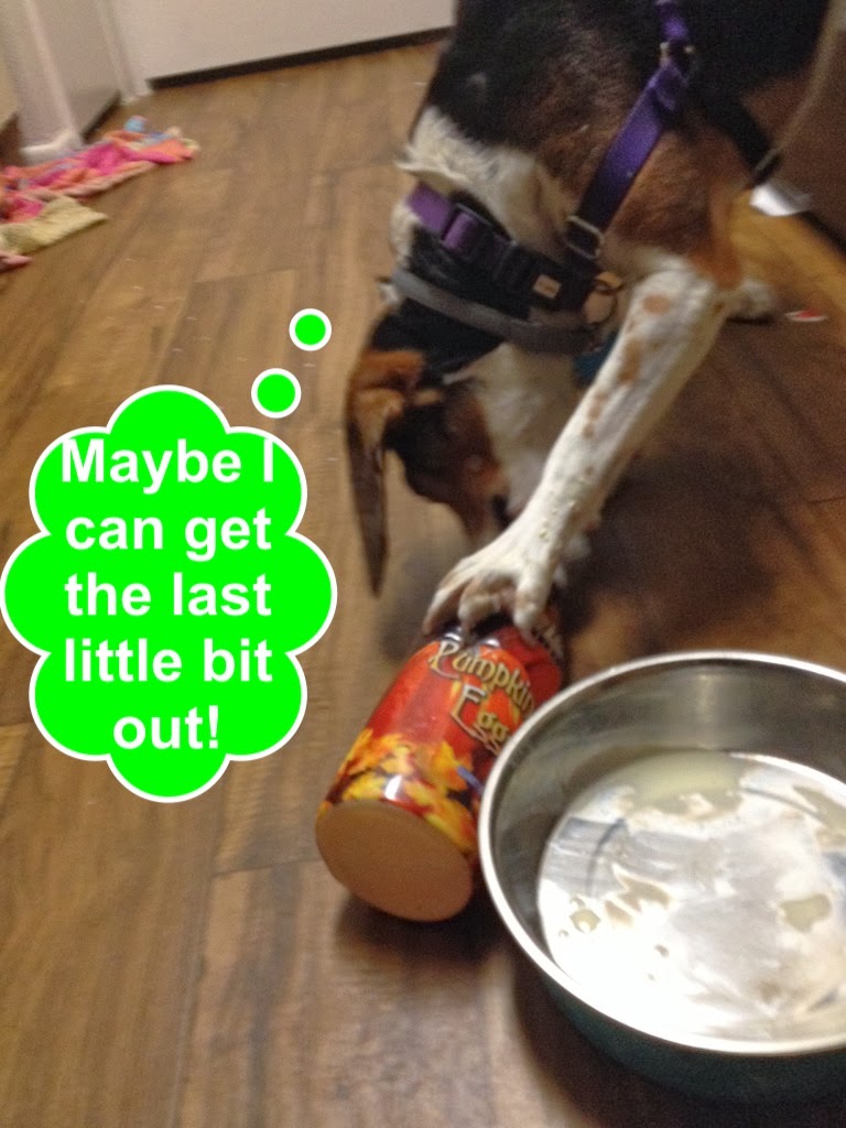 Life With Beagle Lulu, egg nog and the trouble with the